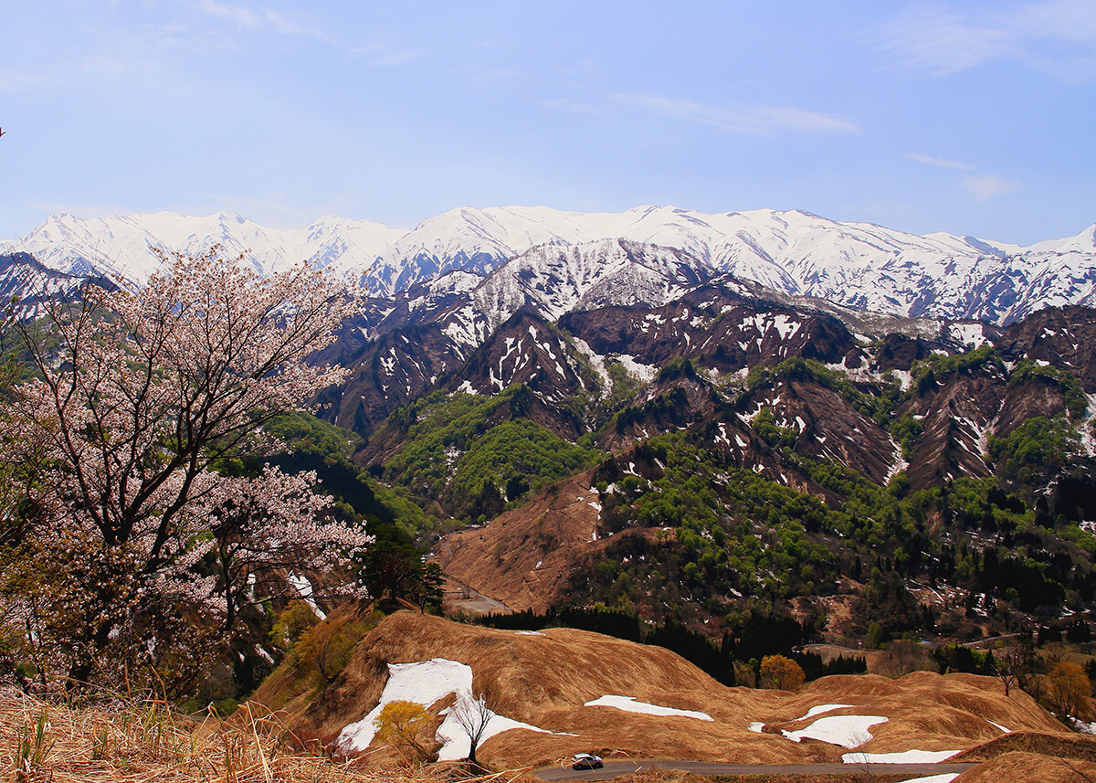 樽口峠遠望