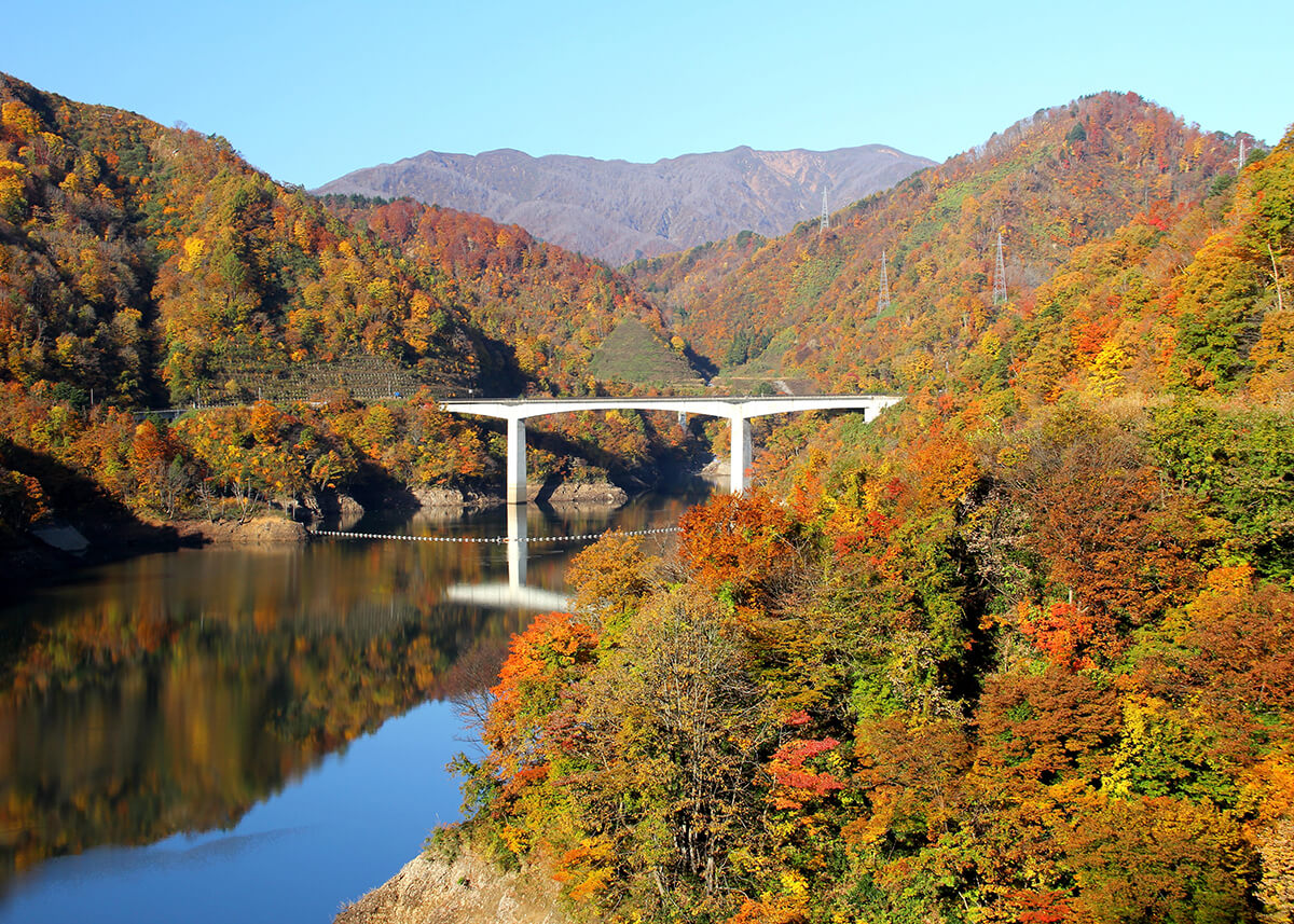 「長井百秋湖」秋の彩り