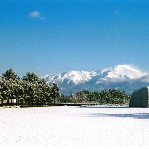 雪の朝