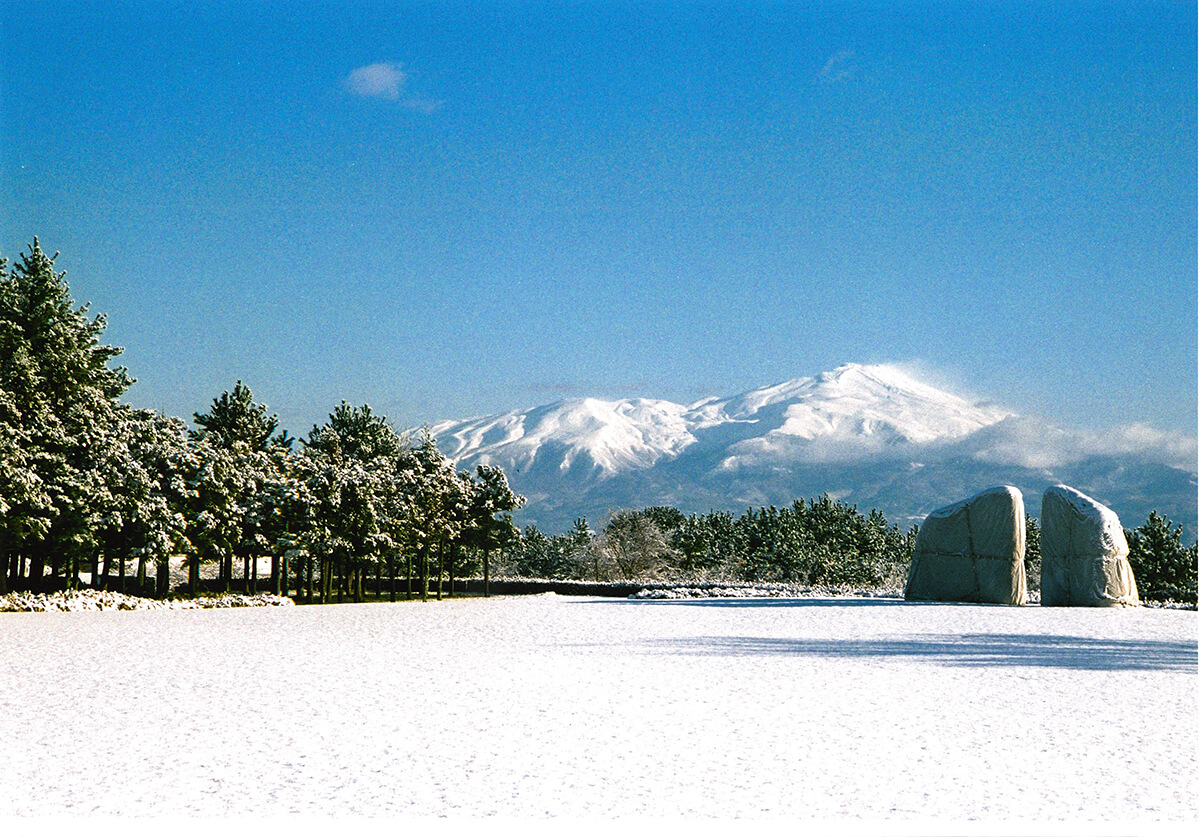 雪の朝