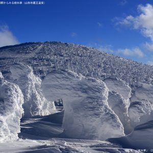 樹氷群