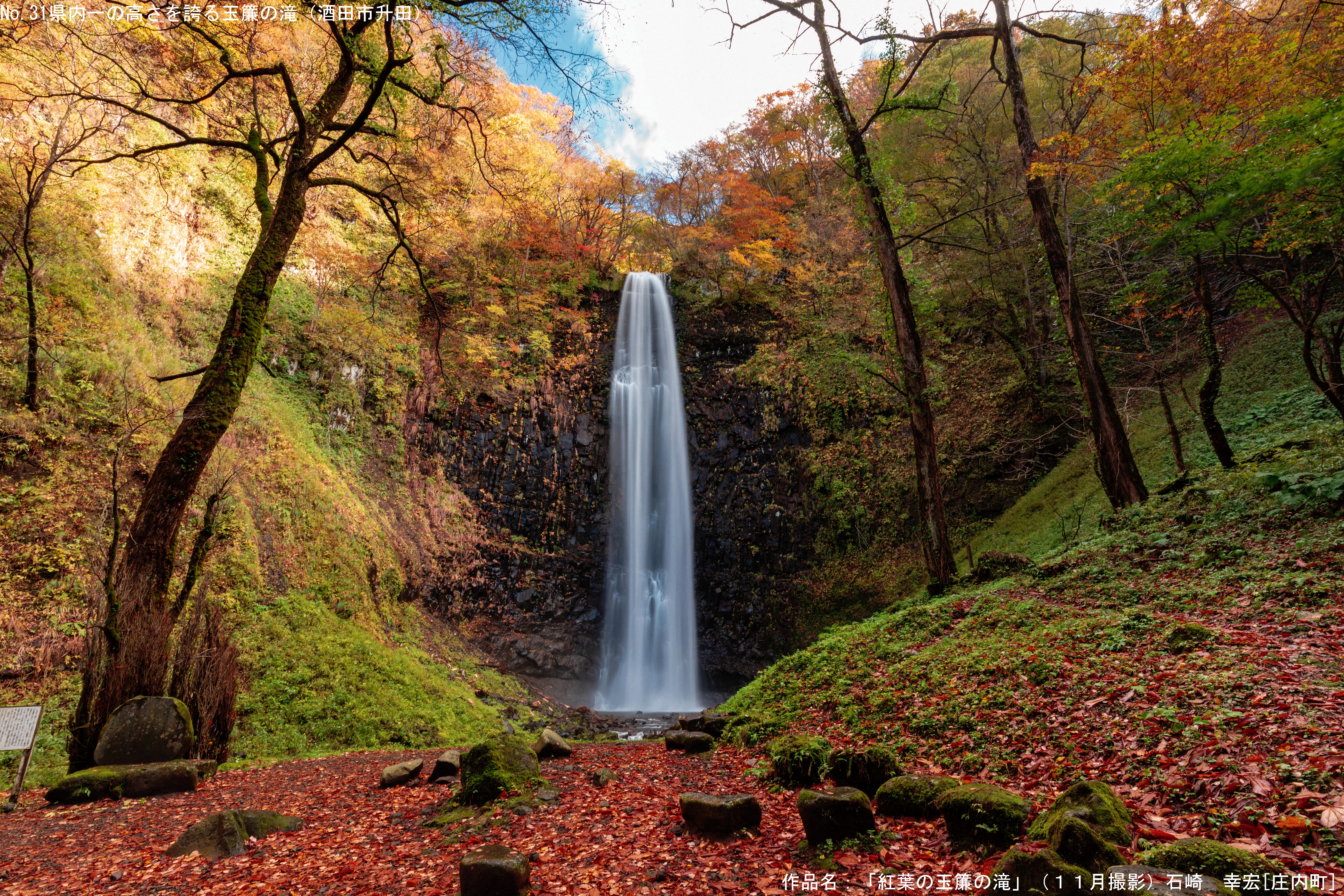 紅葉の玉簾の滝