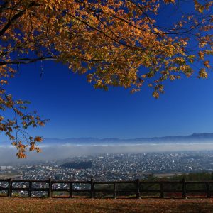 よねざわ秋景