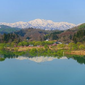 白川湖の水没林 – ①