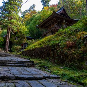 知恵への参道