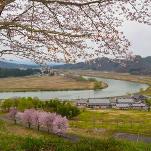 高麗館全景