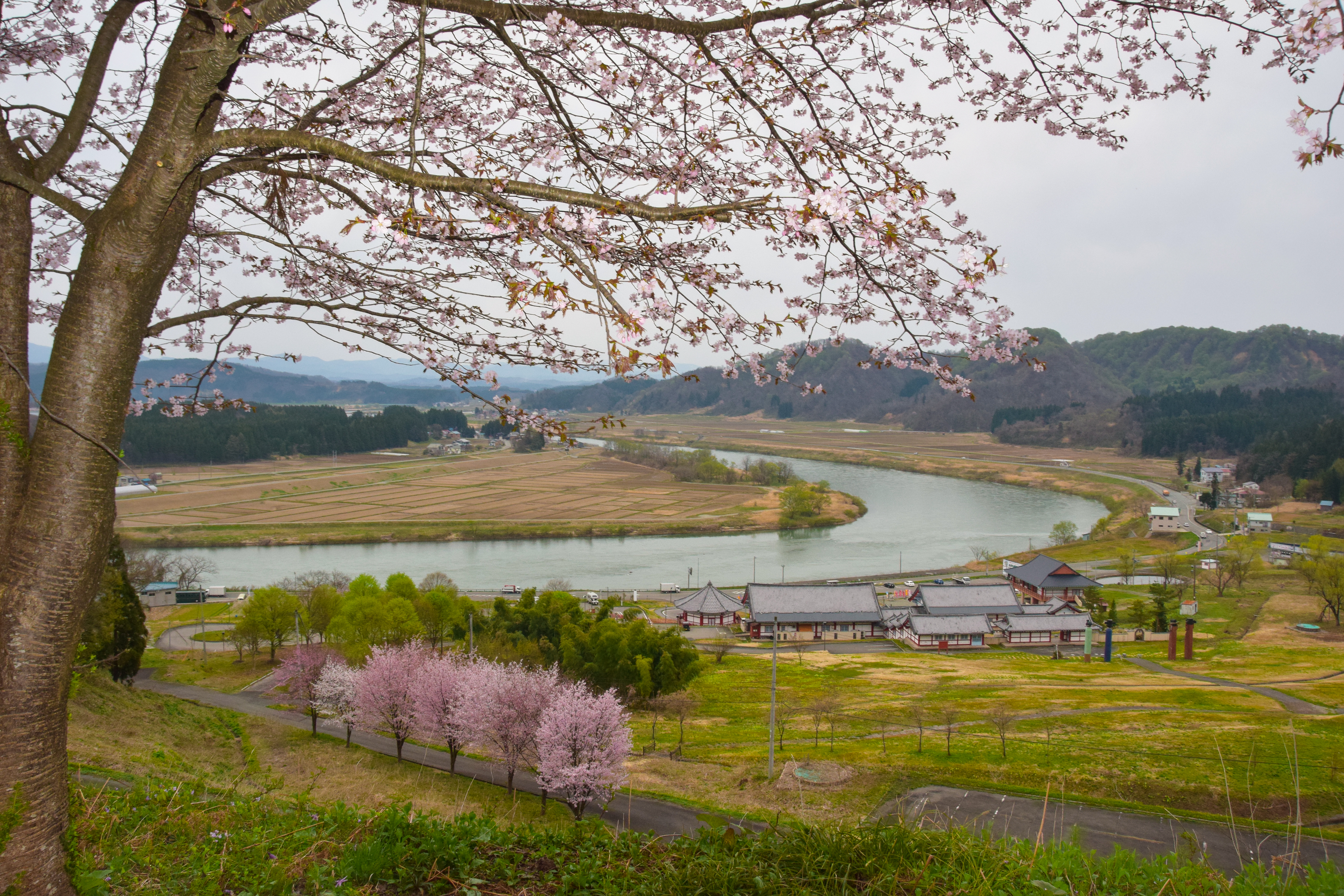 高麗館全景