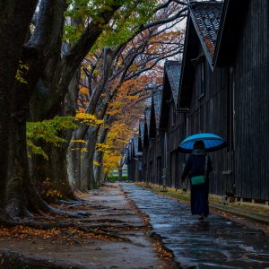 雨の山居倉庫群