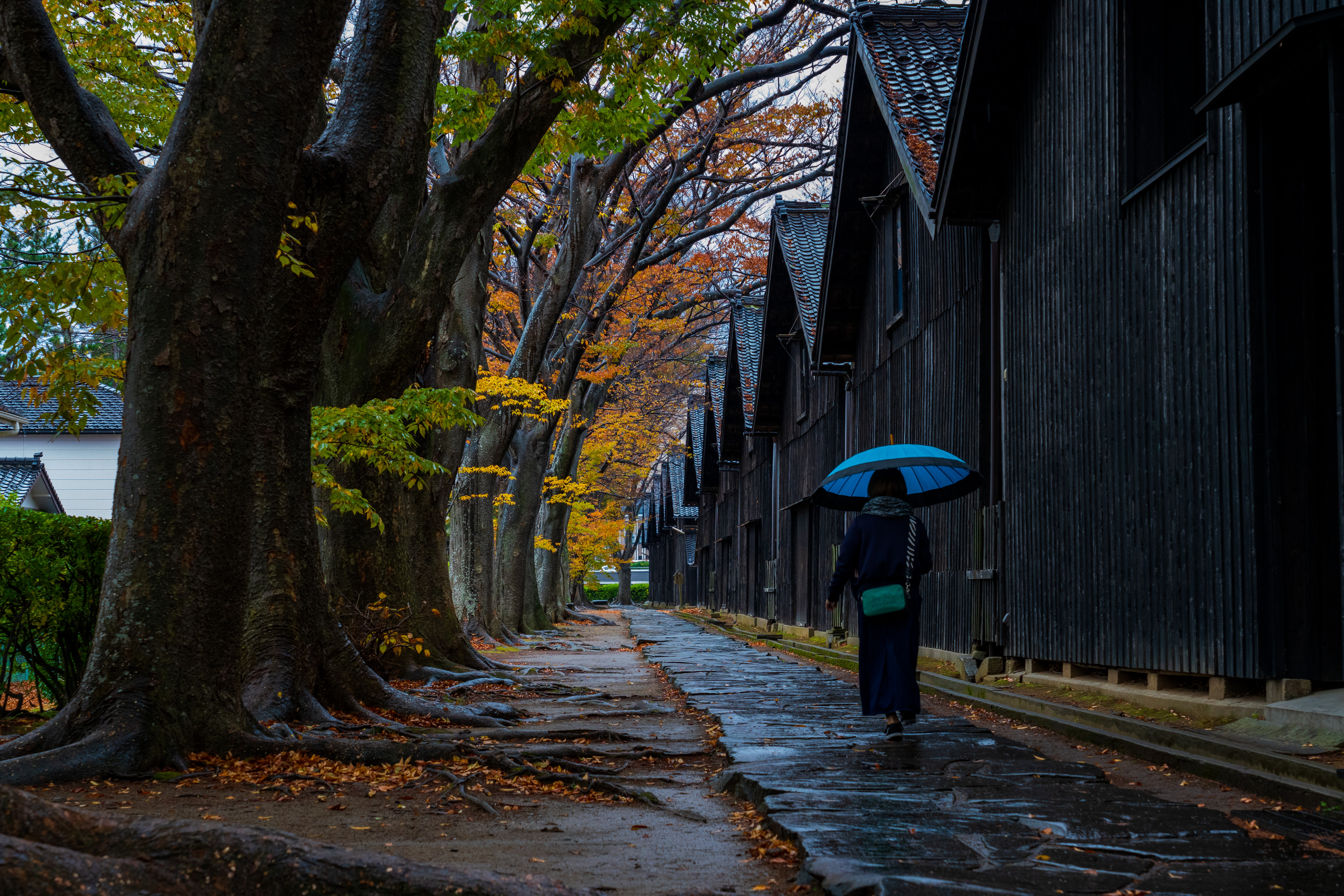 雨の山居倉庫群