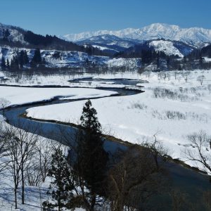 早春の白川湖