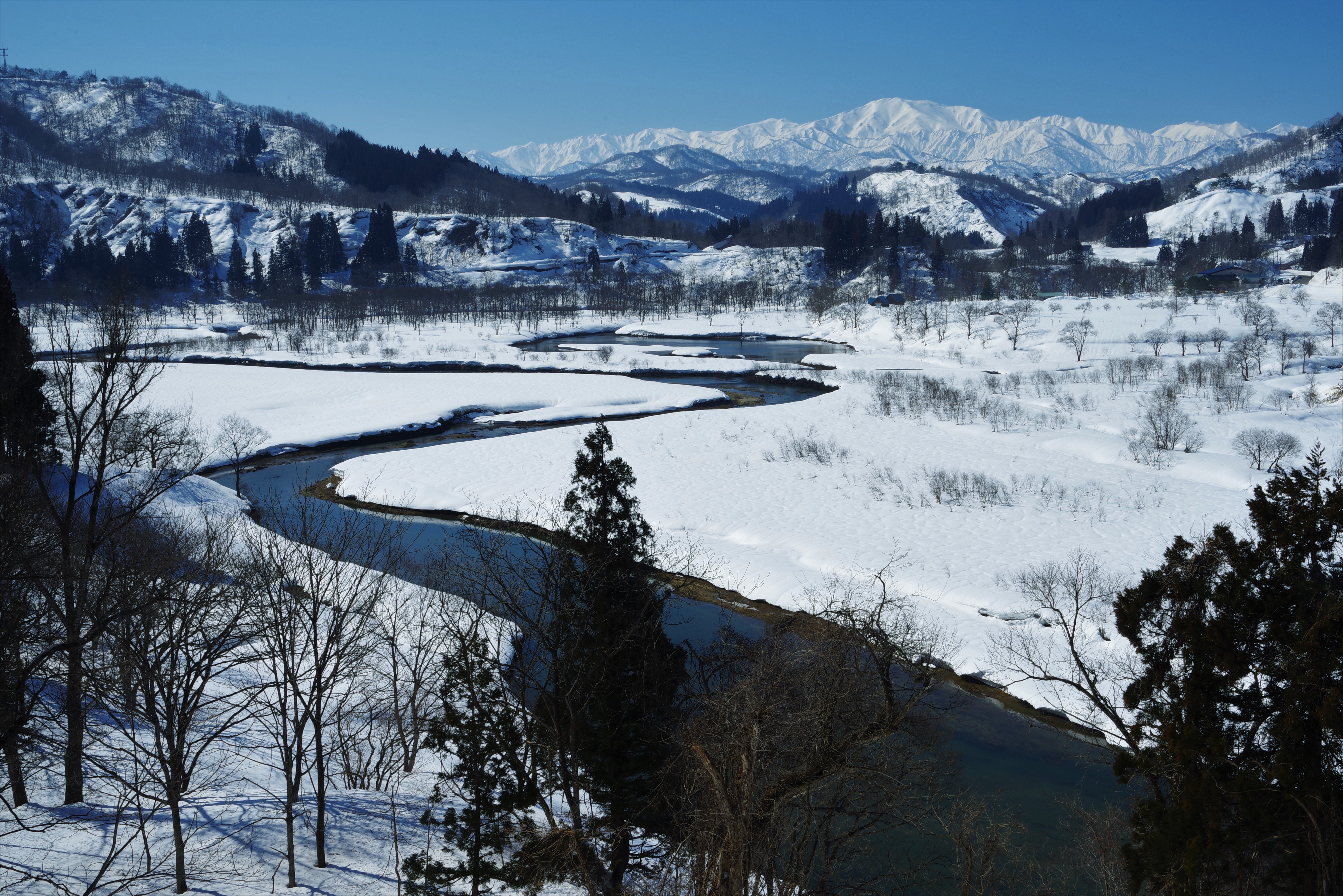 早春の白川湖