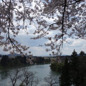 春の最上川美術館