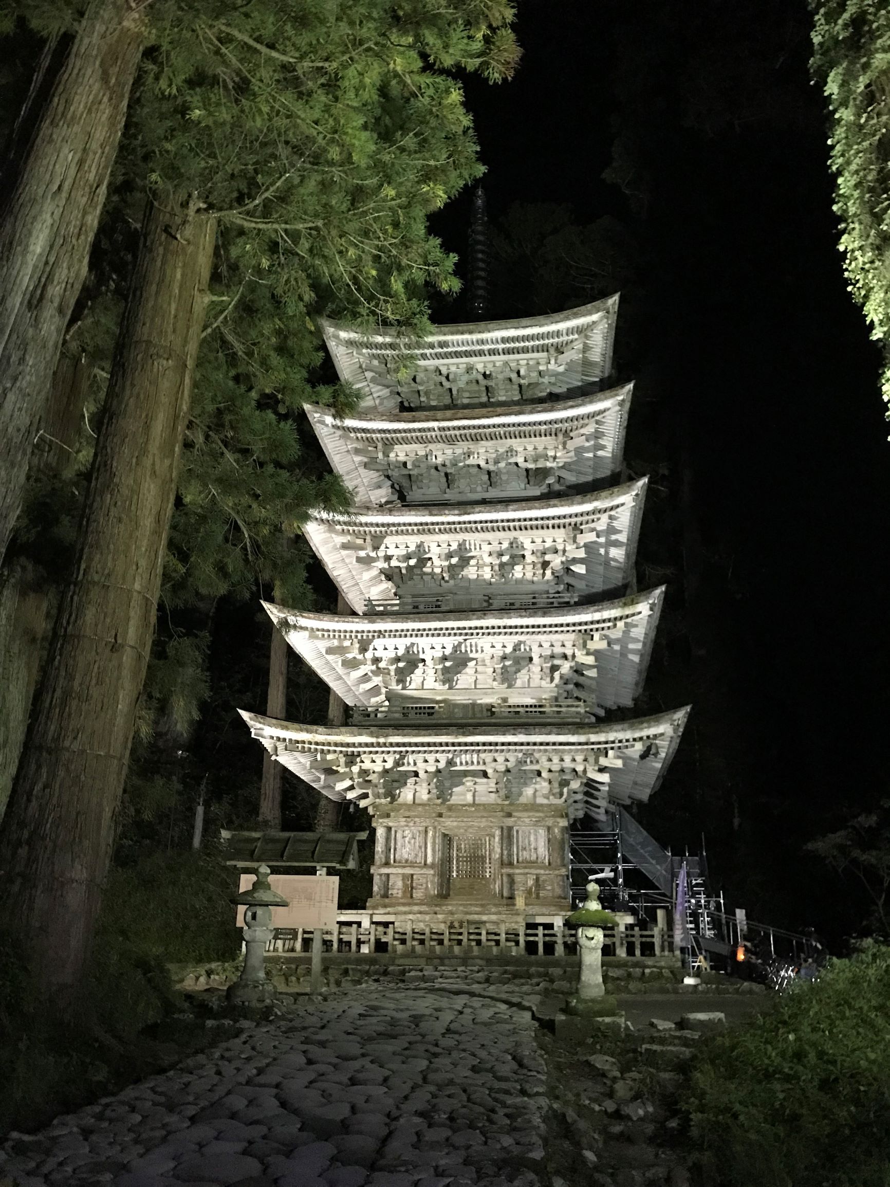 白く浮かぶ国宝五重塔